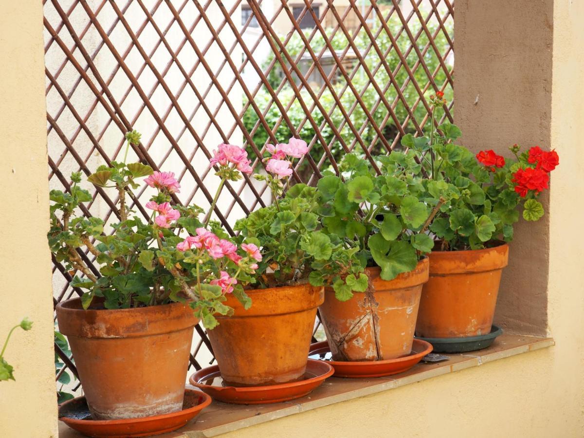 Casa De Nohales Guest House Ngoại thất bức ảnh